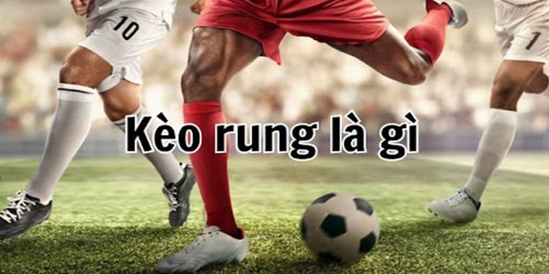 Kèo Rung Là Gì? Cách Đọc Kèo Rung Chi Tiết Cho Tân Thủ